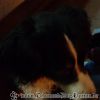 DSC02277