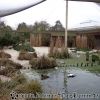 DSC02305