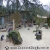 DSC02316