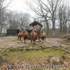20130303_124231
