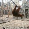 20130303_124825