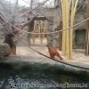 20130303_124919