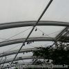 20130303_130434