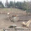 20130303_140255