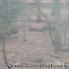 20130303_144447