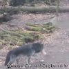 20130303_144529