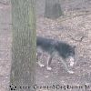 20130303_144534