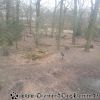 20130303_144604