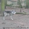 20130303_144726