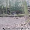 20130303_144810