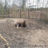 20130303_145640