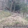 20130303_145824