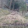 20130303_145912