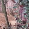 20130303_151248