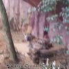 20130303_151257