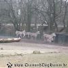 20130303_151443