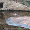 20130303_155259