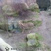 20130303_155825