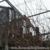 20130303_160017