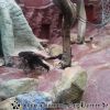 20130303_160833
