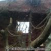 20130303_160951