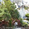 20130430_123738