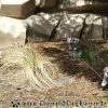 20130430_124409