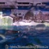 20130430_145540