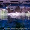 20130430_145818