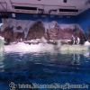20130430_145835