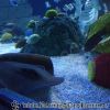 20130430_162848