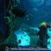 20130430_162857