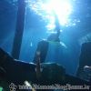 20130430_162922