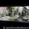 20130502_103620