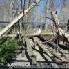 20130502_103734