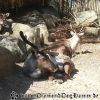 20130502_105312