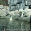 20130502_105427