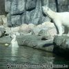 20130502_105434