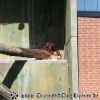 20130502_113014