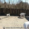 20130502_115617