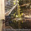 20130502_120930