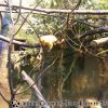 20130502_121246