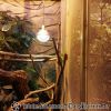 20130502_121544