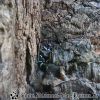 20130502_121840
