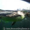 20130502_122505
