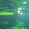 20130502_122516
