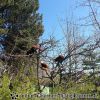 20130502_130250