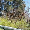 20130502_130306