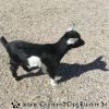 20130502_130659