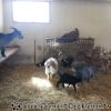20130502_131151